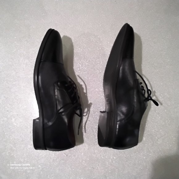 Men Black Cap Toe Oxford Madden NYC Shoes Size 8 NEW W/O/B main image 11